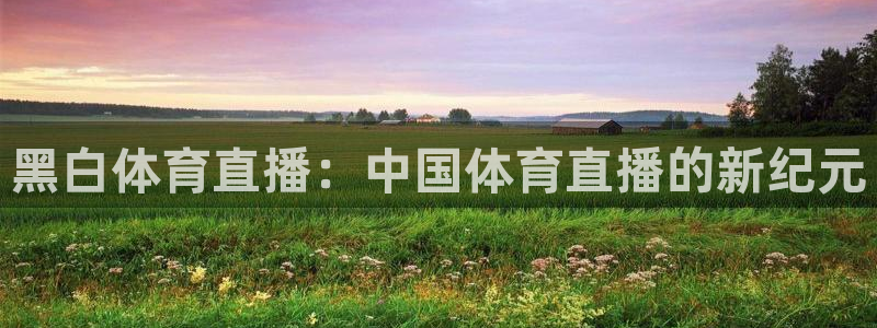 黑白体育直播：中国体育直播的新纪元