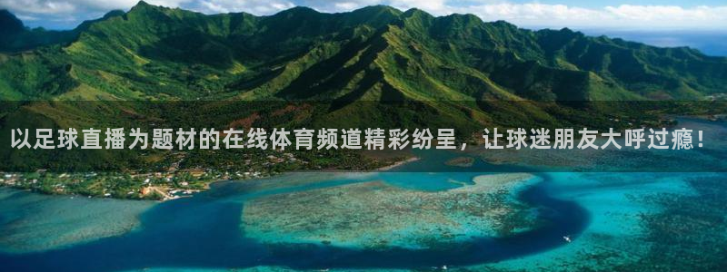 以足球直播为题材的在线体育频道精彩纷呈，让球迷朋友大呼过瘾！