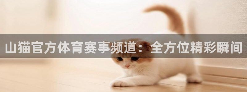山猫官方体育赛事频道：全方位精彩瞬间