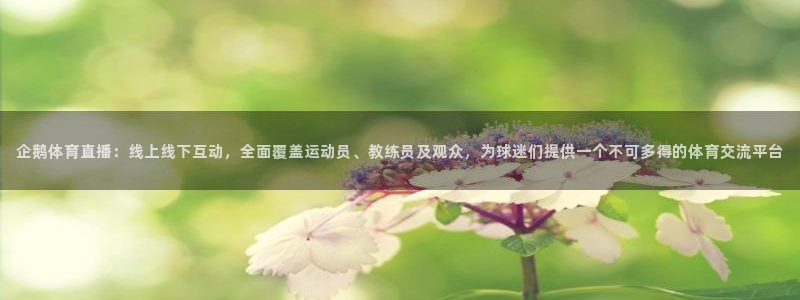 企鹅体育直播：线上线下互动，全面覆盖运动员、教练员及观众，为球迷们提供一个不可多得的体育交流平台