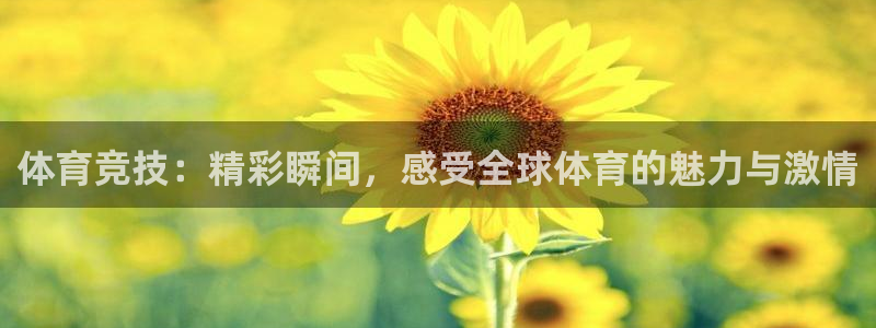 体育竞技：精彩瞬间，感受全球体育的魅力与激情