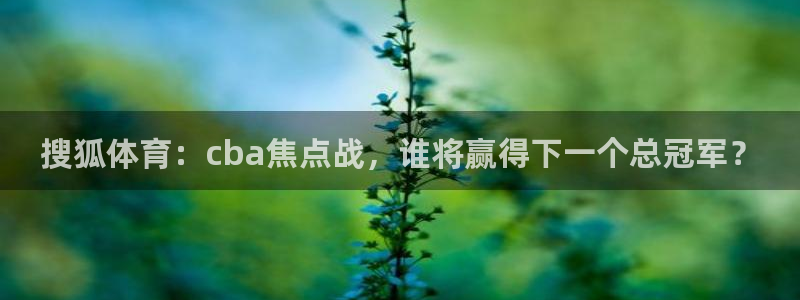 搜狐体育：cba焦点战，谁将赢得下一个总冠军？