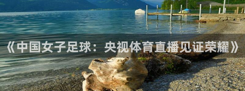 《中国女子足球：央视体育直播见证荣耀》