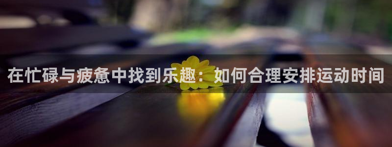 在忙碌与疲惫中找到乐趣：如何合理安排运动时间