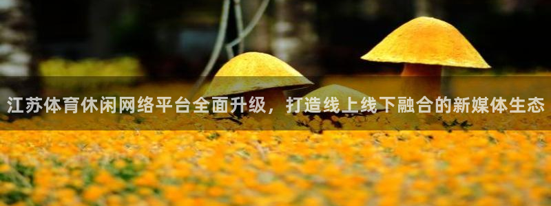 江苏体育休闲网络平台全面升级，打造线上线下融合的新媒体生态