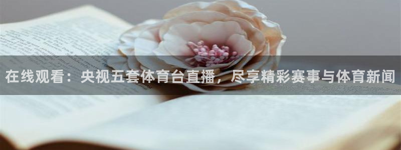 在线观看：央视五套体育台直播，尽享精彩赛事与体育新闻
