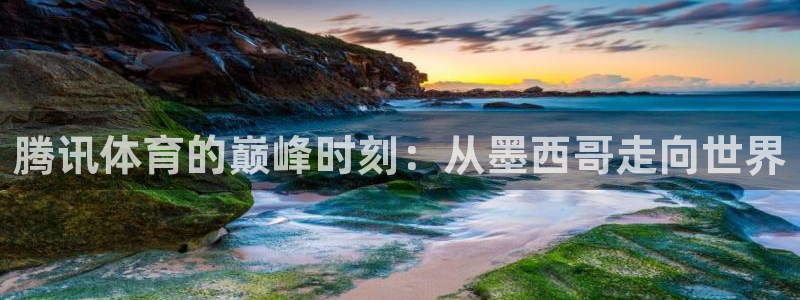 腾讯体育的巅峰时刻：从墨西哥走向世界