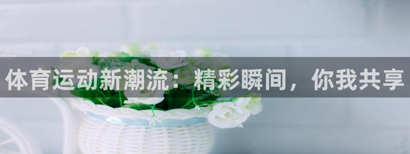 体育运动新潮流：精彩瞬间，你我共享