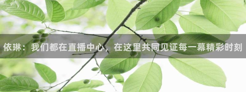 依琳：我们都在直播中心，在这里共同见证每一幕精彩时刻