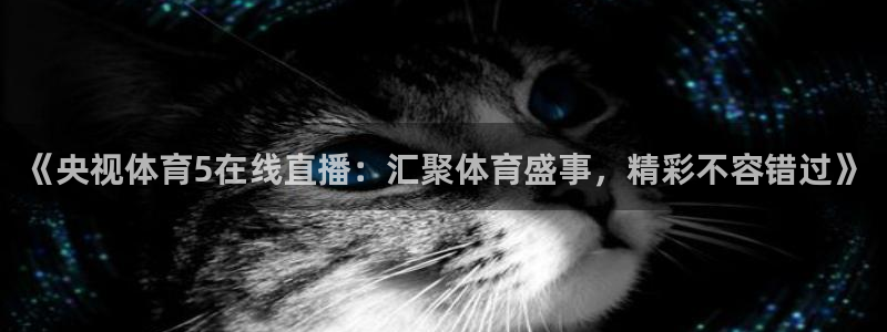 《央视体育5在线直播：汇聚体育盛事，精彩不容错过》