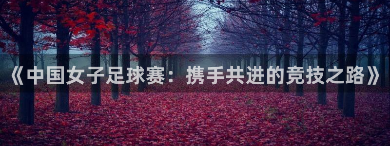 《中国女子足球赛：携手共进的竞技之路》