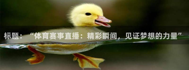 标题：“体育赛事直播：精彩瞬间，见证梦想的力量”